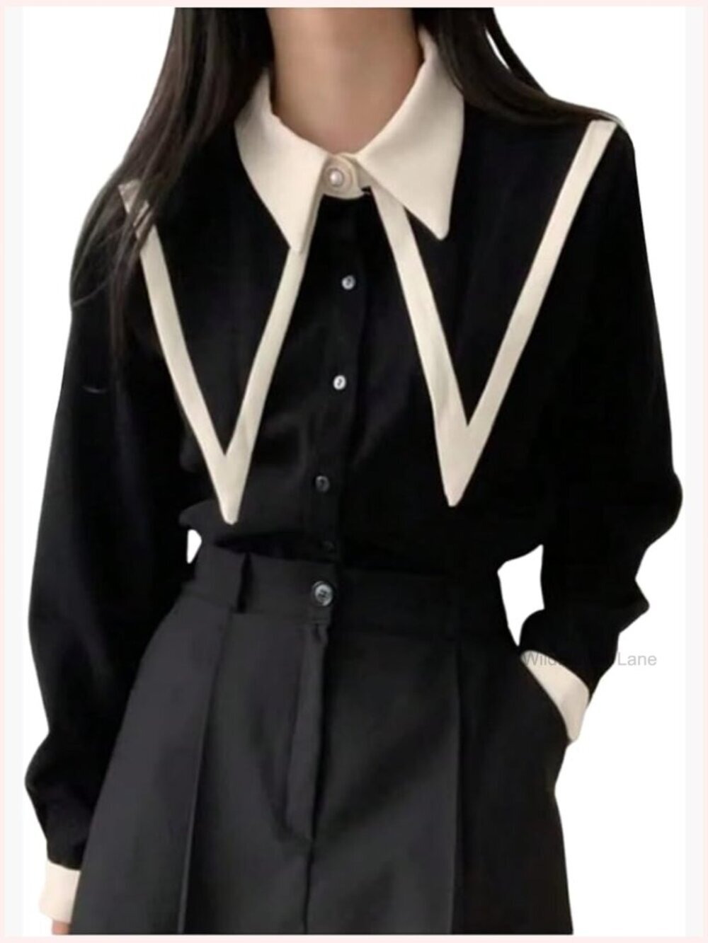 Long Sleeve Pointed Collar Button Down Shirt Dressy Casual Blouse